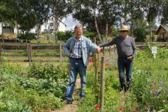 20240713_Offener-Garten-Kesten_002