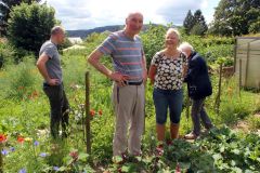 20240713_Offener-Garten-Kesten_004