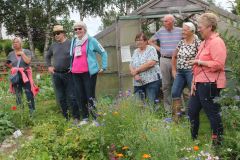 20240713_Offener-Garten-Kesten_019