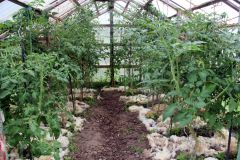 20240713_Offener-Garten-Kesten_023