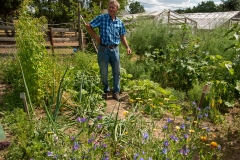 20220716_Offener-Garten-2022-12