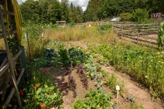 20220716_Offener-Garten-2022-14