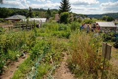 20220716_Offener-Garten-2022-15