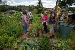 20220716_Offener-Garten-2022-17