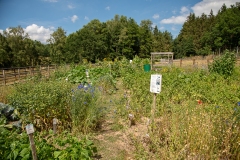 20220716_Offener-Garten-2022-19
