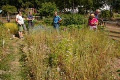 20220716_Offener-Garten-2022-28