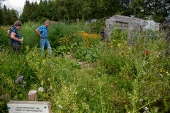 20220716_Offener-Garten-2022-4