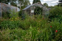 20220716_Offener-Garten-2022-7