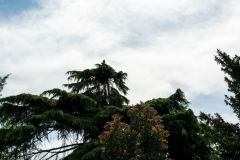 20230708_OG_BUGA-Fahrt-59