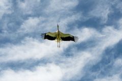 20230708_OG_BUGA-Fahrt-60