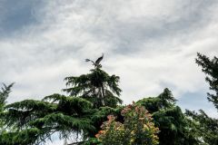 20230708_OG_BUGA-Fahrt-61