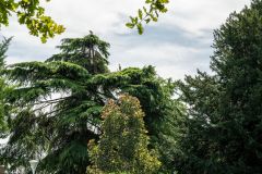 20230708_OG_BUGA-Fahrt-62