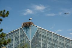 20230708_OG_BUGA-Fahrt-75