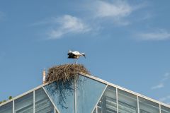20230708_OG_BUGA-Fahrt-77