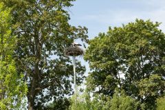 20230708_OG_BUGA-Fahrt-81
