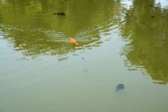 20230708_OG_BUGA-Fahrt-97