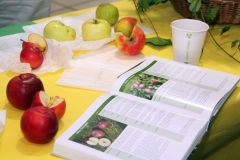 20221030_Vereinsmesse-06