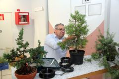 20220710_Bonsai-Ausstellung-13