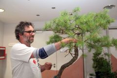 20220710_Bonsai-Ausstellung-15