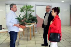 20220710_Bonsai-Ausstellung-16