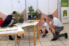 20220710_Bonsai-Ausstellung-17