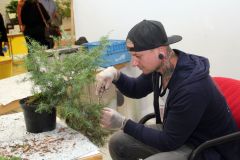 20220710_Bonsai-Ausstellung-19