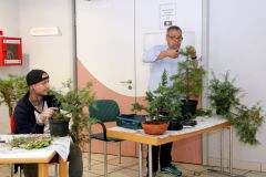 20220710_Bonsai-Ausstellung-21