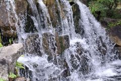 20250823_GrugaPark-Essen-10