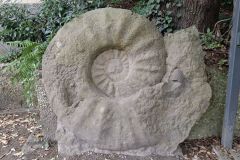 20250823_GrugaPark-Essen-11