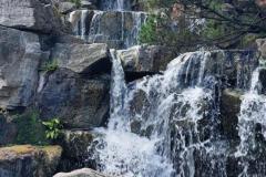 20250823_GrugaPark-Essen-114