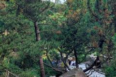 20250823_GrugaPark-Essen-115