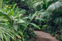 20250823_GrugaPark-Essen-117