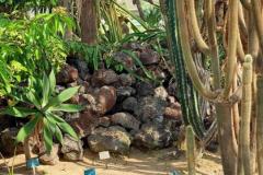 20250823_GrugaPark-Essen-118