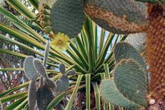 20250823_GrugaPark-Essen-119