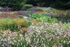 20250823_GrugaPark-Essen-16