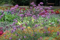 20250823_GrugaPark-Essen-17