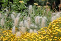 20250823_GrugaPark-Essen-19