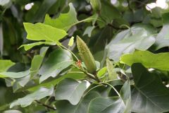 20250823_GrugaPark-Essen-38