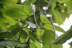 20250823_GrugaPark-Essen-39