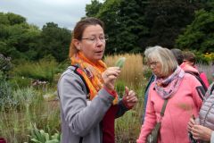 20250823_GrugaPark-Essen-43