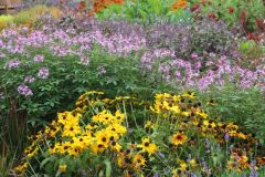 20250823_GrugaPark-Essen-45