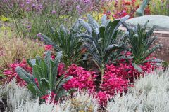 20250823_GrugaPark-Essen-46