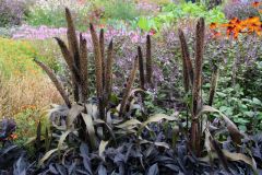 20250823_GrugaPark-Essen-49