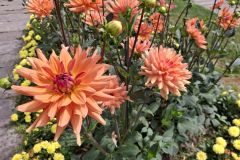 20250823_GrugaPark-Essen-5