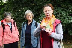 20250823_GrugaPark-Essen-51