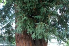 20250823_GrugaPark-Essen-56