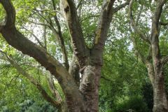 20250823_GrugaPark-Essen-58