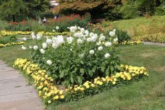 20250823_GrugaPark-Essen-65