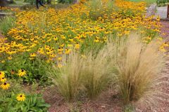 20250823_GrugaPark-Essen-67