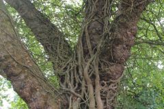 20250823_GrugaPark-Essen-69